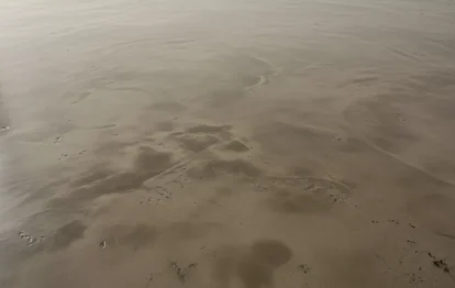 Piso Cimento Queimado​